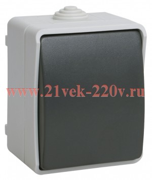Выключатель кнопочный для открытой установки ИЭК ФОРС ВСк20-1-0-ФСр IP54 серый EVS13-K03-10-54-DC