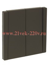 Переключатель двухклавишный с индикацией ИЭК FORTE&PIANO FP308 10А серый FP-V22-1-10-1-K03