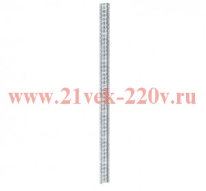Профиль монтажный центральный 19дюйм 42U by ZPAS РФ ITK ZP-CMP-42U-R