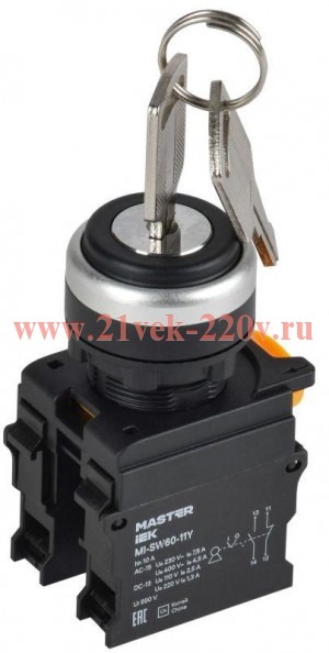 Переключатель 2 полож. 1НО+1НЗ с ключом черн. MASTER IEK MI-SW60-11Y-3-34-2-K02