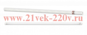 Лампа светодиодная LED-T8-М-PRO 40Вт 230В G13 матовая 4000К 4000лм 1200мм неповоротн. IN HOME 469061