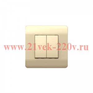 Выключатель 2-кл. NEW3-E 10А с индикацией шампань CHINT 431396