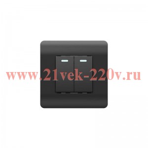 Выключатель 2-кл. NEW3-E 10А с индикацией черн. CHINT 431474