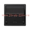 Адаптер на 2 коннектора RJ45(12) наклонный без вкладышей Simon 73 Loft, графит