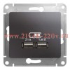 Зарядка USB Розетка 5В/2100мА, 2х5В/1050мА механизм SE Glossa, графит