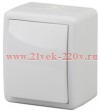 Выключатель 1-кл. ОП Эра Эксперт 10А IP54 11А-1401-01 250В 10AX Al+Cu бел. Эра Б0038816