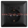 Розетка 2P+E Schuko со шторками 16А-250В + 2хUSB Intro Solo, антрацит 4-410-05