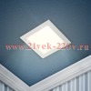 ЭРА LED 2-9-6K /1 Светильник светодиодный квадратный LED 9W 220V 6500K (30/630)