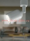 ЭРА Трековый светильник однофазный TR41-GU10 WH MR16 белый