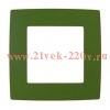 Рамка на 1 пост Эра 12, зелёный 12-5001-27
