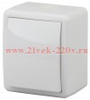 Переключатель IP54 10АХ-250В открытой установки Эра Эксперт, белый 11-1403-01