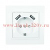 Розетка 1-м СП Минск 16А защ. шторки с заземл. с 2 USB 2.1А бел. EKF ERR16-028-100-2USB