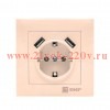 Розетка 1-м СП Валенсия 16А защ. шторки с заземл. с 2 USB 2.1А крем. PROxima EKF EWR16-028-20-2USB