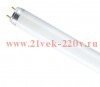 Люминесцентная лампа OSRAM СМ L18W/ 840 PLUS ECO G13 d26x 590 1350lm 4000K