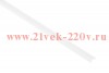 Экран для профиля САВ251 матов. 2м 2206-2A ЭРА Б0039441