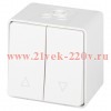 Переключатель Эксперт 11-1508-01 для жалюзи кнопочный IP55 10АХ-250В ОУ бел. Эра Б0063251