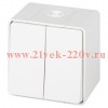 Выключатель Эксперт 11-1504-01 двойной IP55 10АХ-250В ОУ бел. Эра Б0063257