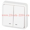 Выключатель Эксперт 11-1525-01 двойной с подсветкой IP55 10АХ-250В СУ бел. Эра Б0063304