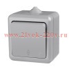 Переключатель 1-кл. ОП Dita IP54 10А 250В сер. TOKOV LIGHT TKL-DT-P1-C06-IP54