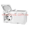 Розетка 2-м ОП Dita 16А IP54 250В с заземл. с крышкой бел. TOKOV LIGHT TKL-DT-R2Z-C01-IP54