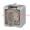 Розетка 1-м ОП Dita 16А IP54 250В с заземл. с прозрачн. крышкой сер. TOKOV LIGHT TKL-DT-R1Z-C06T-IP5