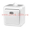 Выключатель 1-кл. ОП Dita IP54 10А 250В с индикацией бел. TOKOV LIGHT TKL-DT-V1I-C01-IP54