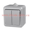 Выключатель 2-кл. ОП Dita IP54 10А 250В сер. TOKOV LIGHT TKL-DT-V2-C06-IP54