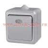 Выключатель 1-кл. ОП Dita IP54 10А 250В с индикацией сер. TOKOV LIGHT TKL-DT-V1I-C06-IP54