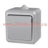 Выключатель 1-кл. ОП Dita IP54 10А 250В сер. TOKOV LIGHT TKL-DT-V1-C06-IP54