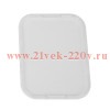 Стекло для съема показаний счетчика IP41 100х75 КЭАЗ 367485