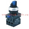 Переключатель с подсветкой NP8-11XD/216 2 полож. фикс. AC110-230В(LED) 1НО+1НЗ IP65 (R) син. CHINT 6