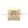 Розетка 1-м NEW3-E 16А без заземл. защ. шторки шампань CHINT 431408