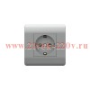 Розетка 1-м NEW3-E 16А с заземл. защ. шторки серебр. CHINT 431405