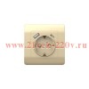 Розетка 1-м NEW3-E 16А с заземл. защ. шторки + 2-м USB тип A+C 5В/21А шампань CHINT 431453
