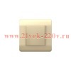 Розетка 1-м NEW3-E 16А IP44 с заземл. защ. шторки с крышкой шампань CHINT 431448