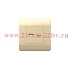 Розетка USB NEW3-E тип A+C 5В/21А шампань CHINT 431450