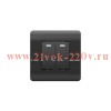 Выключатель 2-кл. NEW3-E 10А с индикацией черн. CHINT 431474