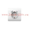 Розетка 1-м NEW3-E 16А с заземл. защ. шторки + 2-м USB тип A+C 5В/21А бел. CHINT 431552
