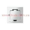 Лючок MultiDesk MDK20 на 2мод. IP44 с монтажной коробкой для стены фальшпола стола серебр. SE MDK201