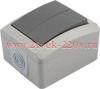 Выключатель 2-кл. ОП INDUSTRIAL IP54 сер. Kranz KR-78-0609