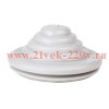Сальник d22мм (Dотв бокса 25мм) КЭАЗ 386808