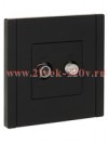 Розетка двойная TV+SAT ИЭК FORTE&PIANO FP138 черный FP-AF20-O-K02