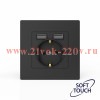 Розетка 1-м СП Pixel с заземл. с 2-мя заряд. устр. USB тип A+A IP20 механизм карбон TOKOV ELECTRIC T