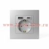 Розетка 1-м СП Pixel с заземл. с 2-мя заряд. устр. USB тип A+C IP20 механизм алюм. TOKOV ELECTRIC TK