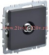 Розетка TV ИЭК BRITE проходная графит (РТВ10-0-БрГ) BR-A10-P-K53