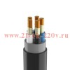 Кабель ППГнг(А)-FRHF 5х10 ОК (N PE) 0.66кВ (м) Кабэкс ТХМ00194387