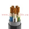 Кабель ППГнг(А)-FRHF 5х25 МК (N PE) 0.66кВ (м) Кабэкс ТХМ00194389