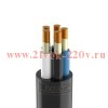 Кабель ППГнг(А)-FRHF 5х6 (N PE) 0.66кВ (м) Кабэкс ТХМ00194386