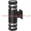 Светильник уличный настенный ЭРА «Адрия» GBW-102-BL-0300 230В 2хЕ27 max 30Вт IP54 300х150x90 вверх/в