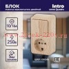 Блок розетка с выключателем Intro Quadro 2-706-11 двойным вертикальный 10(16)А-250В, IP20, ОУ, сосна